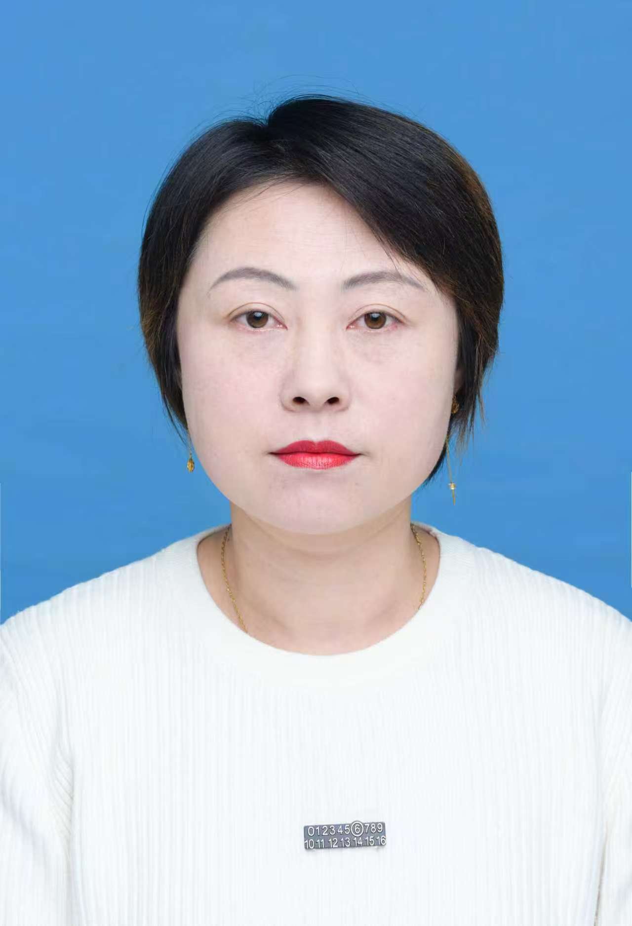 高級育嬰師——邴新鳳